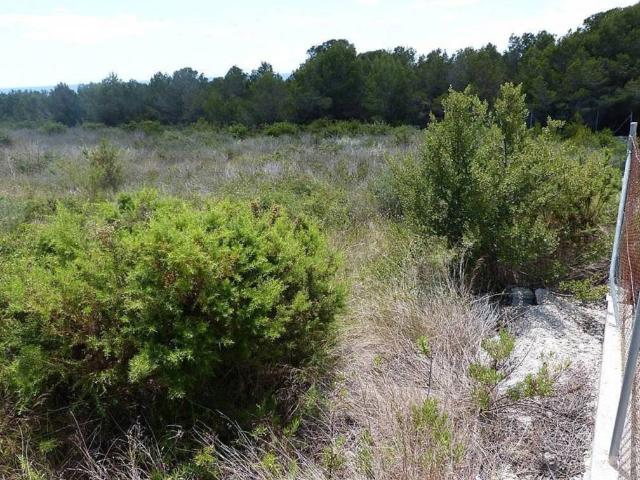 Terreno en venta en Coma-ruga, Baix Penedès