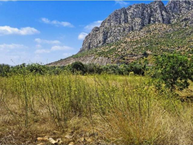 Terreno en venta en la Marina Alta, Valencia