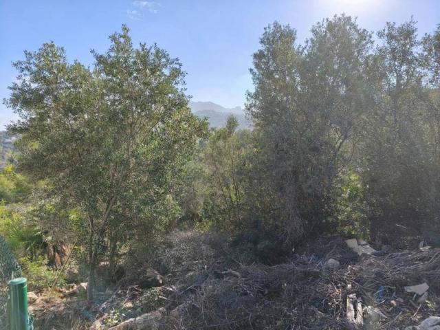 Terreno en venta en la Marina Alta, Valencia