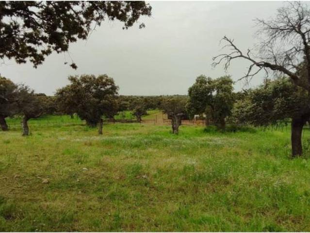 Terreno en venta en El Viso, Andalucía