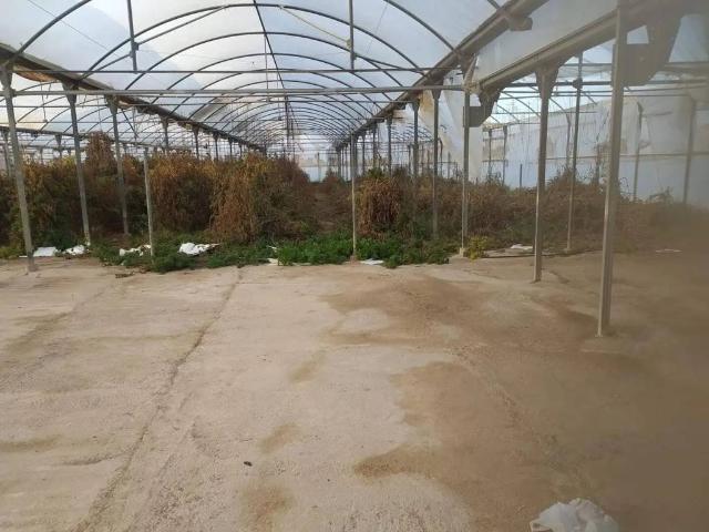 Terreno en venta en la Punyalà, el Baix Vinalopó