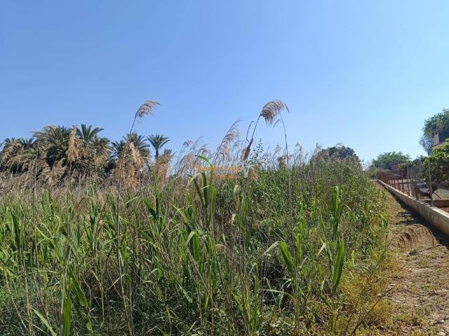 Terreno en venta en el Baix Vinalopó, Valencia