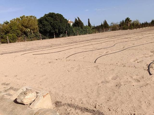 Terreno en venta en el Baix Vinalopó, Valencia