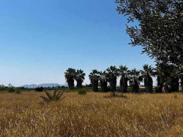 Terreno en venta en Elche