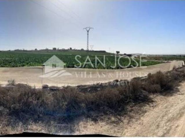 Terreno en venta en el Baix Vinalopó, Valencia