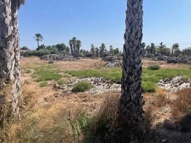 Terreno en venta en el Baix Vinalopó, Valencia