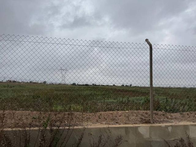 Terreno en venta en el Baix Vinalopó, Valencia