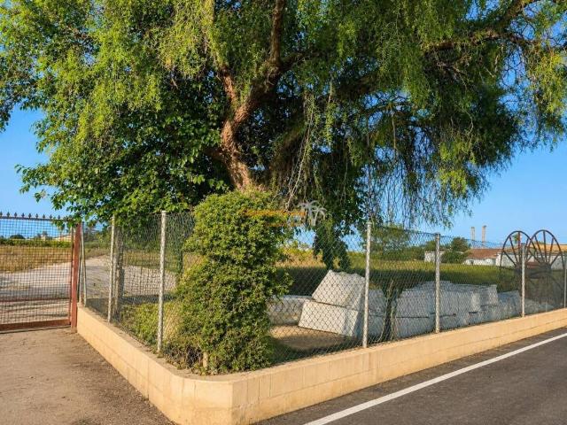 Terreno en venta en el Baix Vinalopó, Valencia