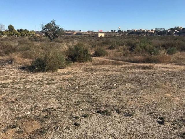 Terreno en venta en el Baix Vinalopó, Valencia