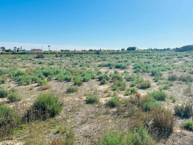 Terreno en venta en el Baix Vinalopó, Valencia