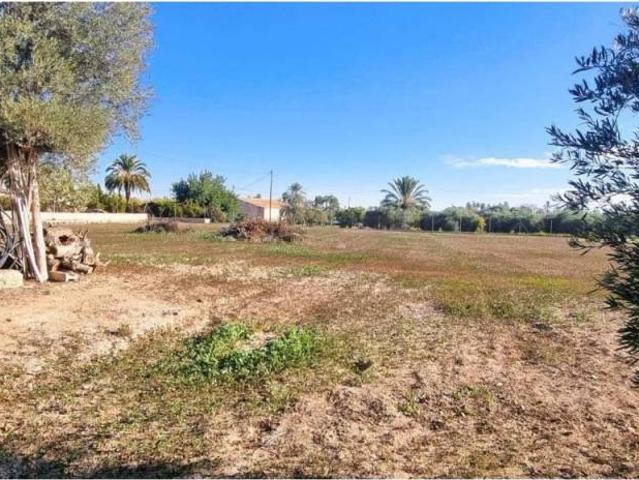 Terreno en venta en el Baix Vinalopó, Valencia