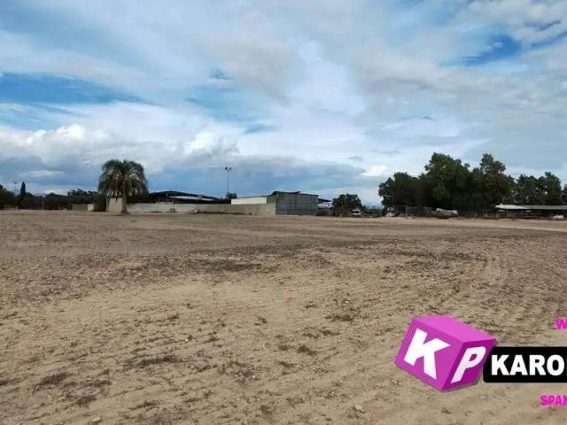 Terreno en venta en el Baix Vinalopó, Valencia
