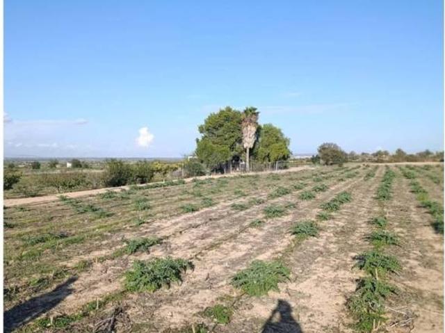 Terreno en venta en el Baix Vinalopó, Valencia