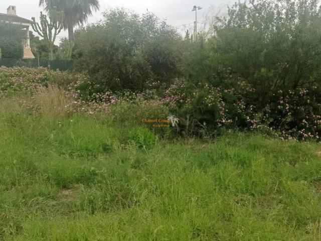 Terreno en venta en el Baix Vinalopó, Valencia