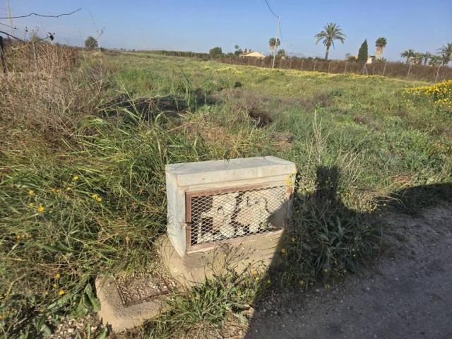 Terreno en venta en el Baix Vinalopó, Valencia