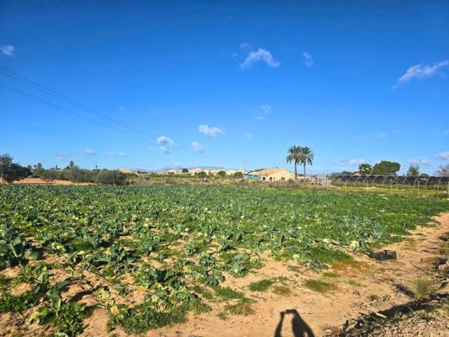 Terreno en venta en el Baix Vinalopó, Valencia