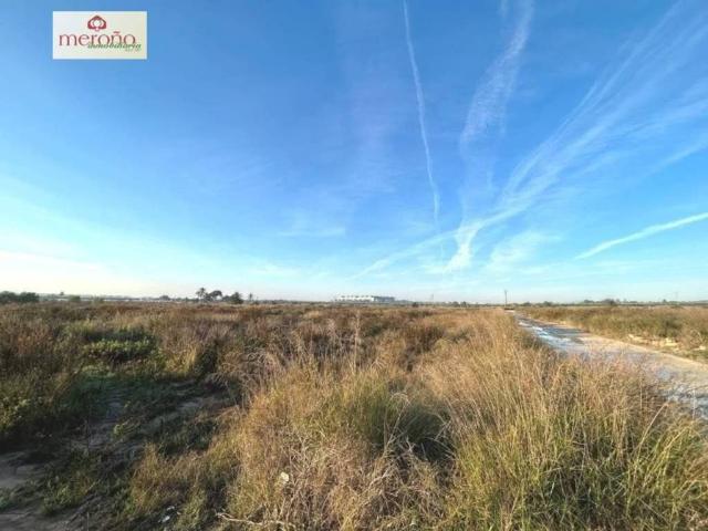 Terreno en venta en el Baix Vinalopó, Valencia