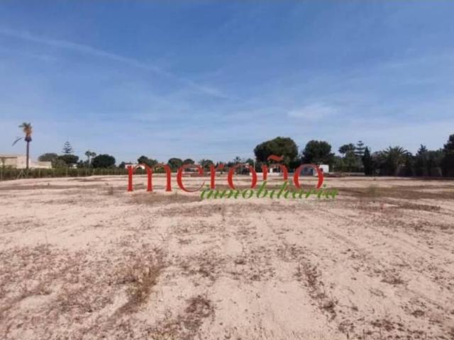 Terreno en venta en el Baix Vinalopó, Valencia