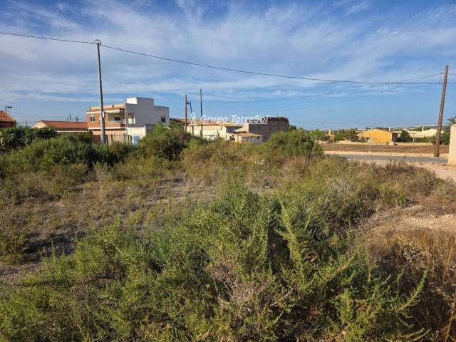 Terreno en venta en el Baix Vinalopó, Valencia