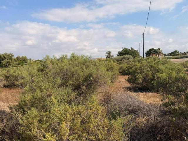 Terreno en venta en el Baix Vinalopó, Valencia