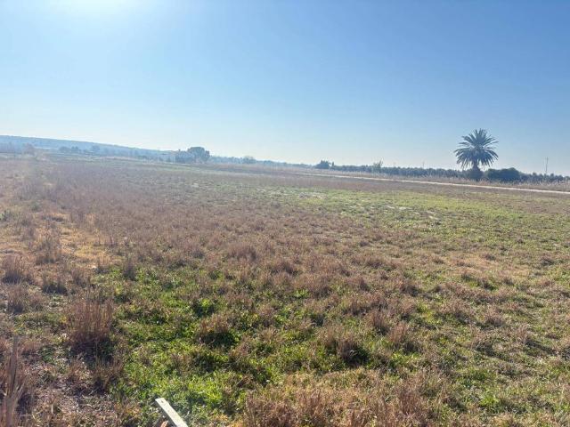 Terreno en venta en el Baix Vinalopó, Valencia