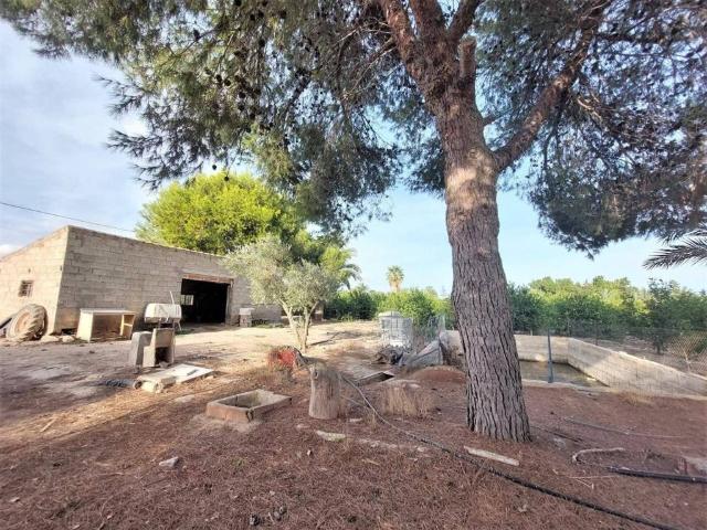 Terreno en venta en el Baix Vinalopó, Valencia
