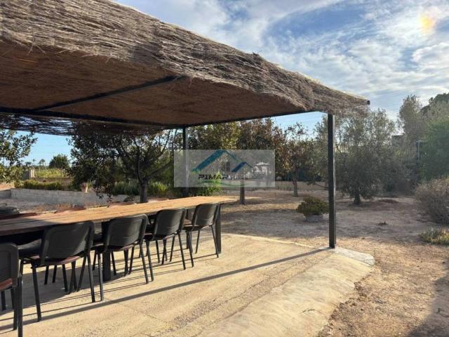 Terreno en venta en el Baix Vinalopó, Valencia