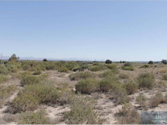 Terreno en venta en el Baix Vinalopó, Valencia