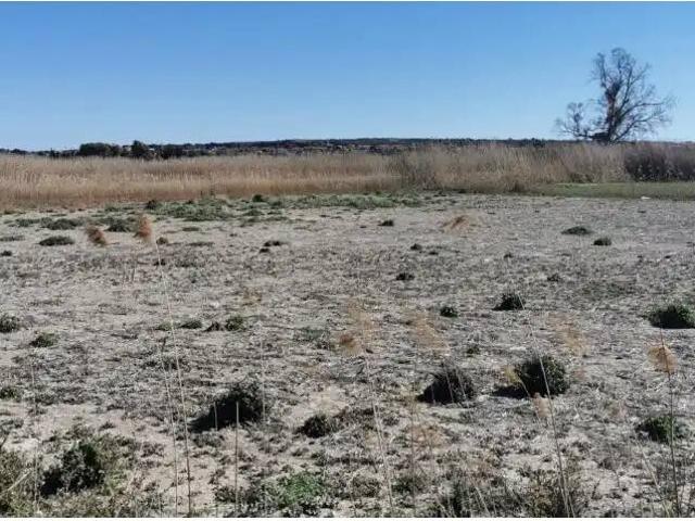 Terreno en venta en Elx / Elche, Alacant / Alicante