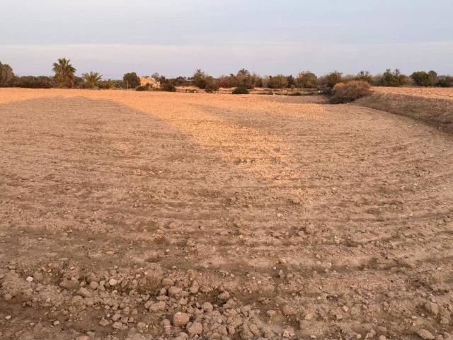 Terreno en venta en el Baix Vinalopó, Valencia