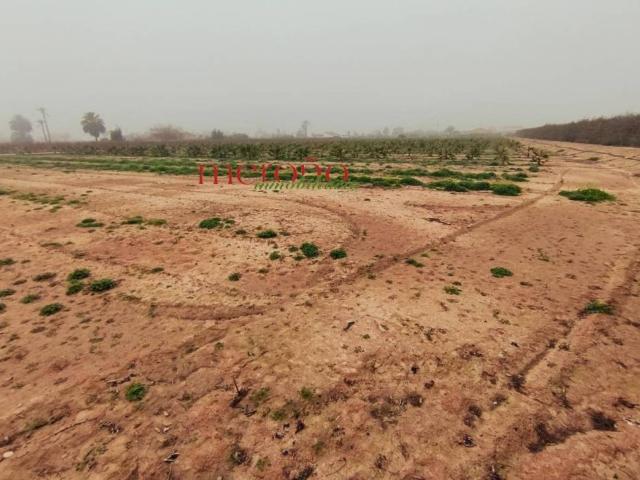 Terreno en venta en el Baix Vinalopó, Valencia
