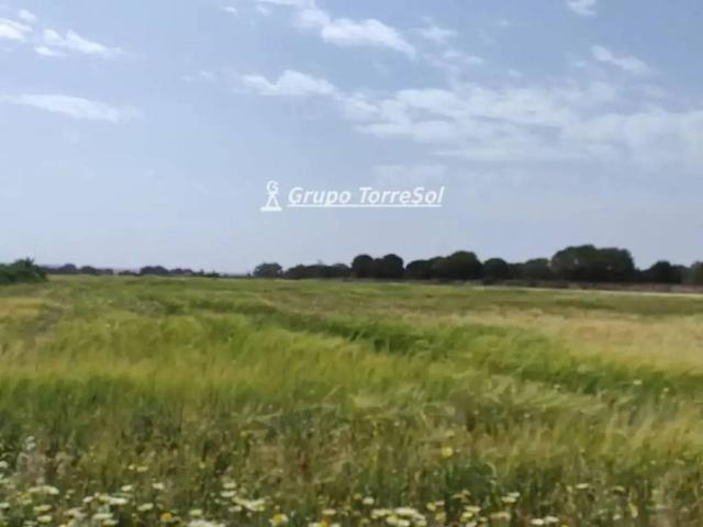 Terreno en venta en el Baix Vinalopó, Valencia