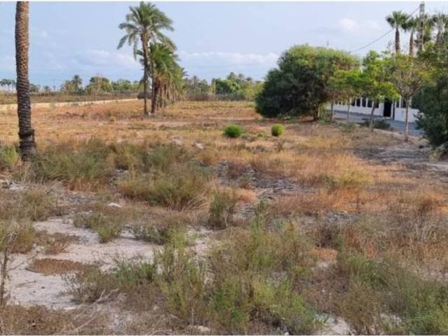 Terreno en venta en el Baix Vinalopó, Valencia