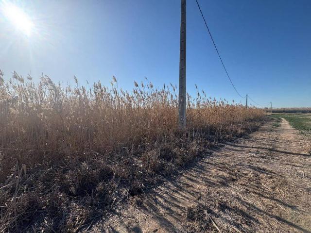 Terreno en venta en el Baix Vinalopó, Valencia