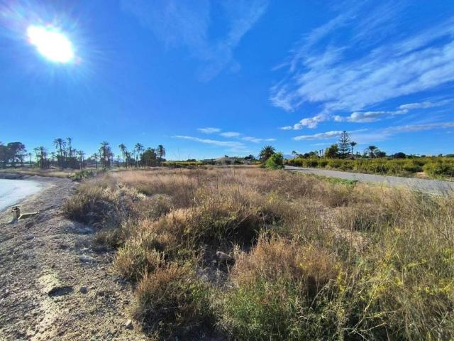 Terreno en venta en el Baix Vinalopó, Valencia