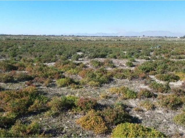 Terreno en venta en el Baix Vinalopó, Valencia