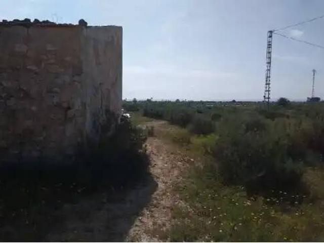 Terreno en venta en el Baix Vinalopó, Valencia