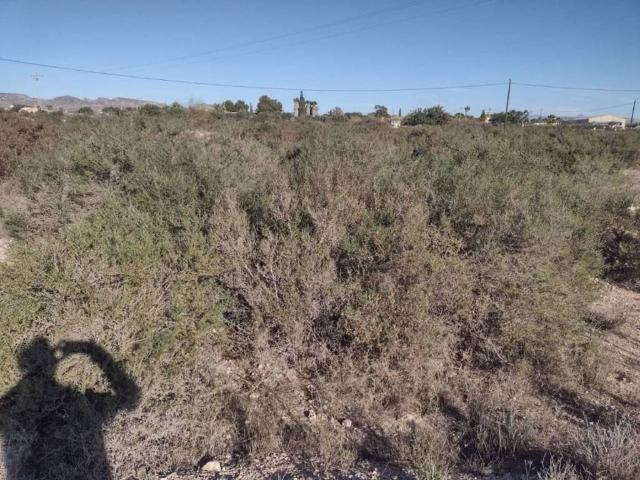 Terreno en venta en el Baix Vinalopó, Valencia