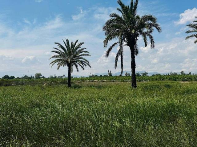 Terreno en venta en el Baix Vinalopó, Valencia