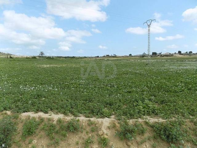 Terreno en venta en el Baix Vinalopó, Valencia