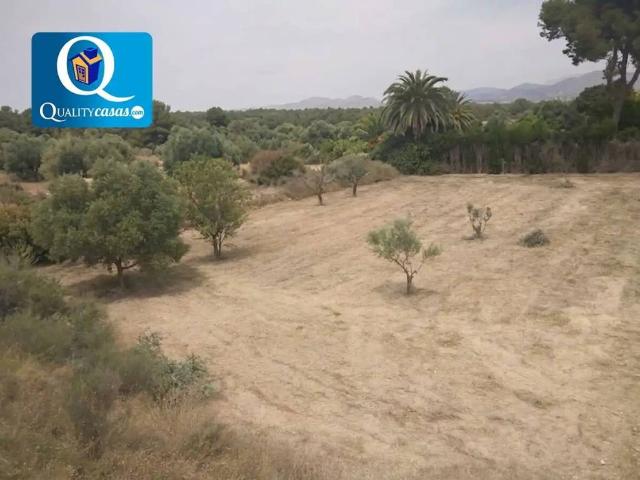 Terreno en venta en el Baix Vinalopó, Valencia