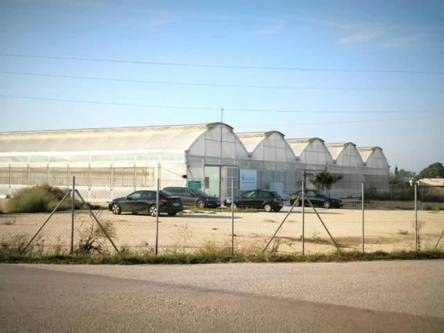 Terreno en venta en el Baix Vinalopó, Valencia