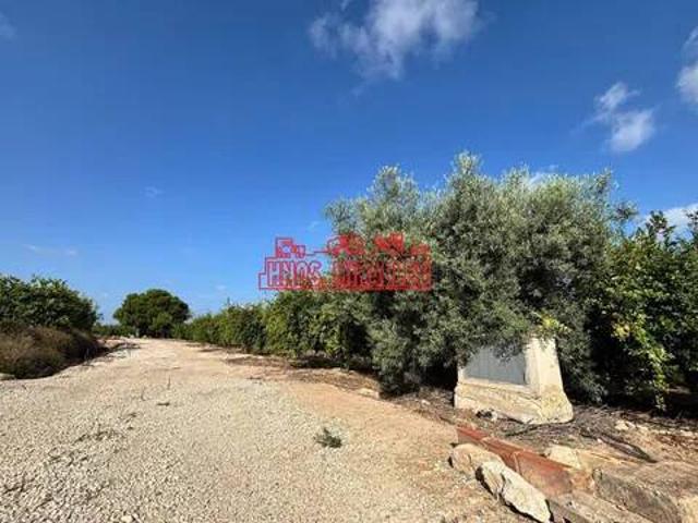 Terreno en venta en la Foia, el Baix Vinalopó