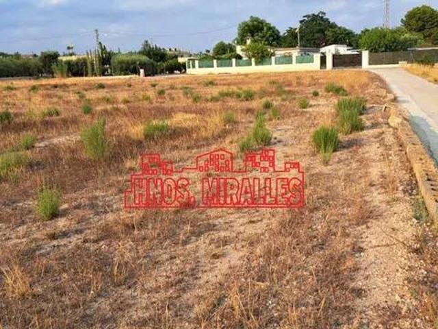 Terreno en venta en el Baix Vinalopó, Valencia