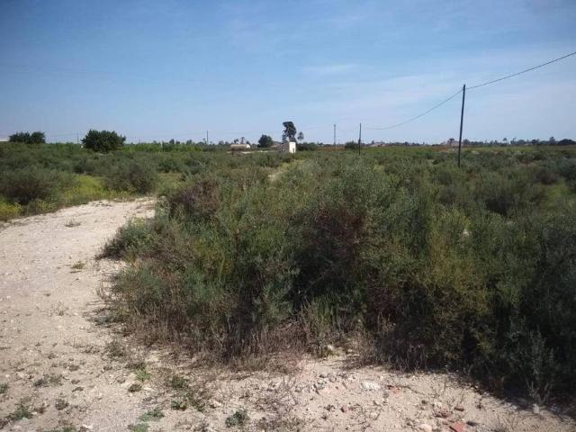 Terreno en venta en el Baix Vinalopó, Valencia