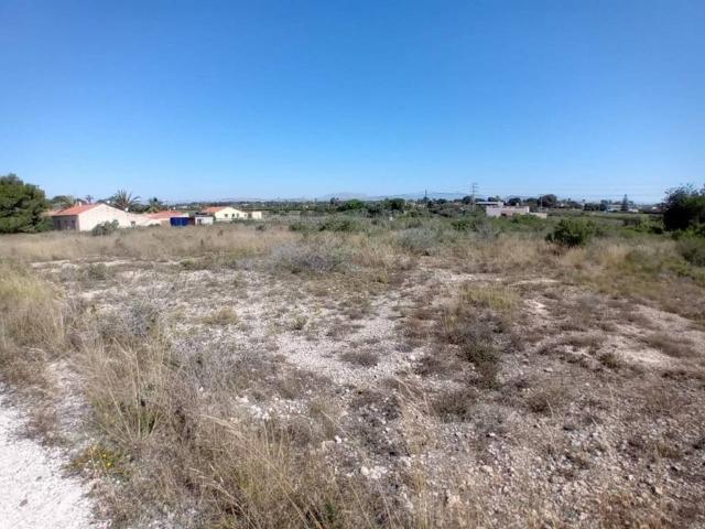 Terreno en venta en el Baix Vinalopó, Valencia