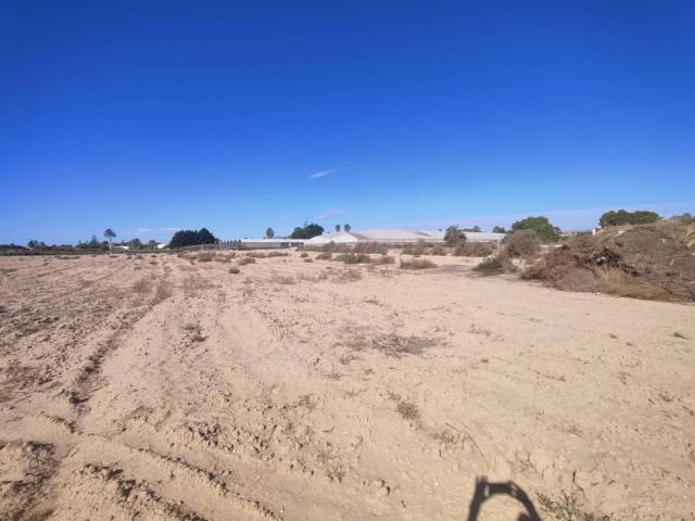Terreno en venta en el Baix Vinalopó, Valencia