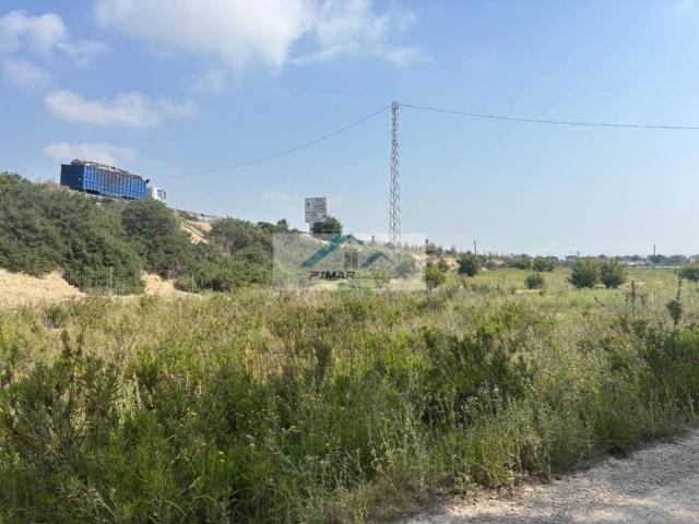 Terreno en venta en el Baix Vinalopó, Valencia