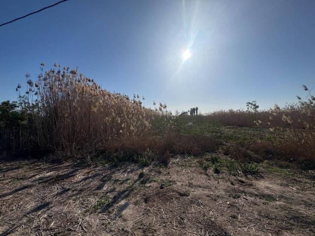 Terreno en venta en el Baix Vinalopó, Valencia