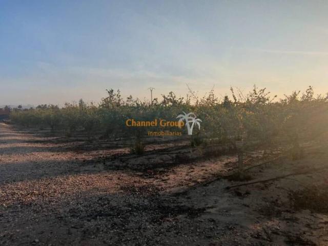Terreno en venta en el Baix Vinalopó, Valencia
